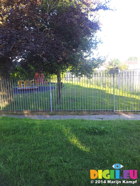 20140728_192736 Bird of prey having tea